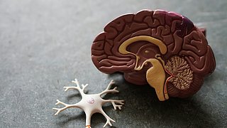 Leben mit Demenz: Hilfe und Unterstützung für Betroffene und Angehörige